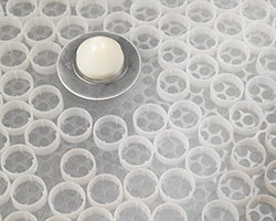 Self-Cleaning Kits