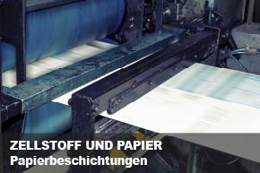 Pulp & Paper Separation